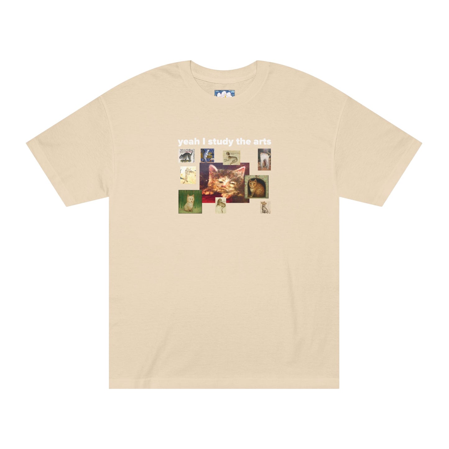 Yeah I Study Art Tee
