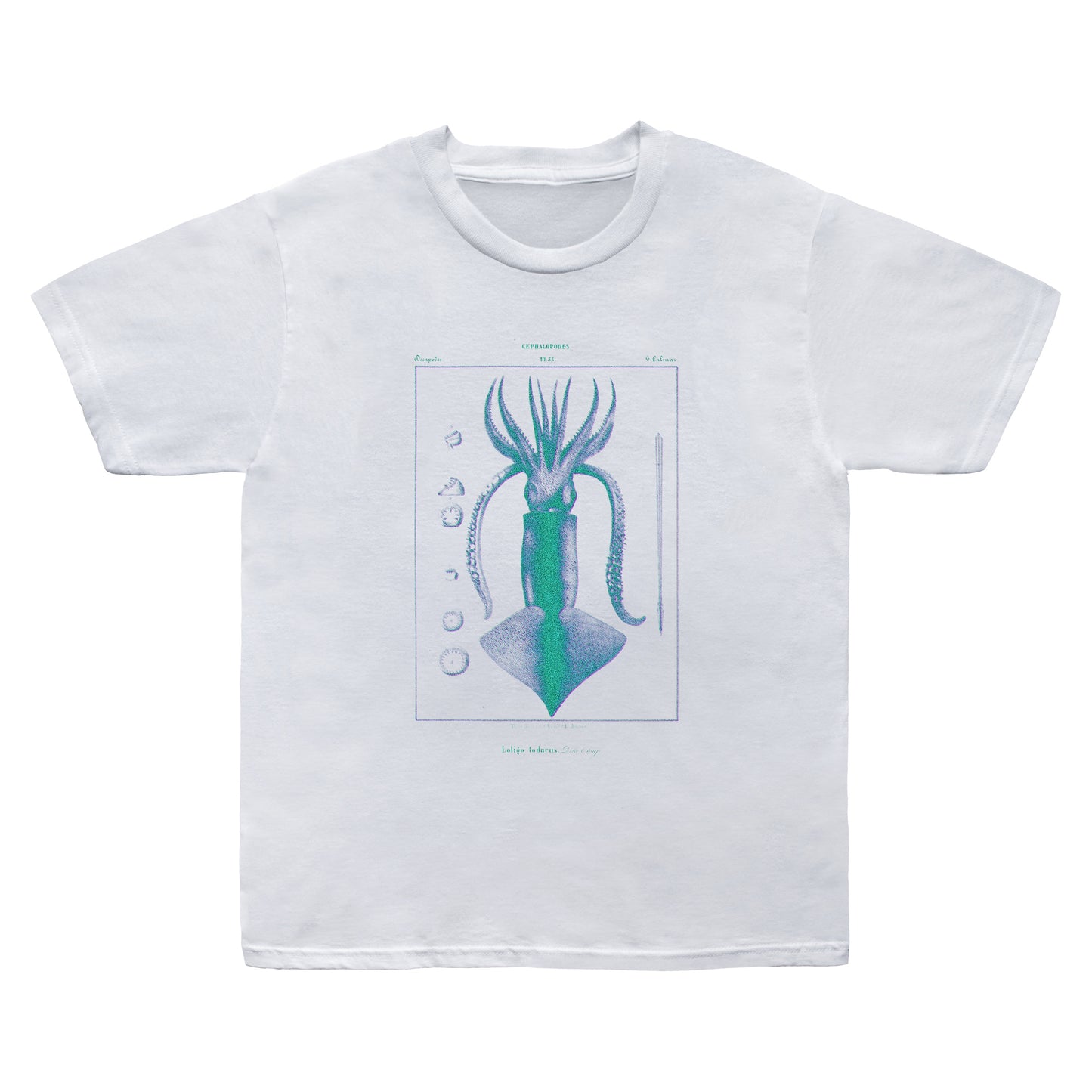 Squid Tee