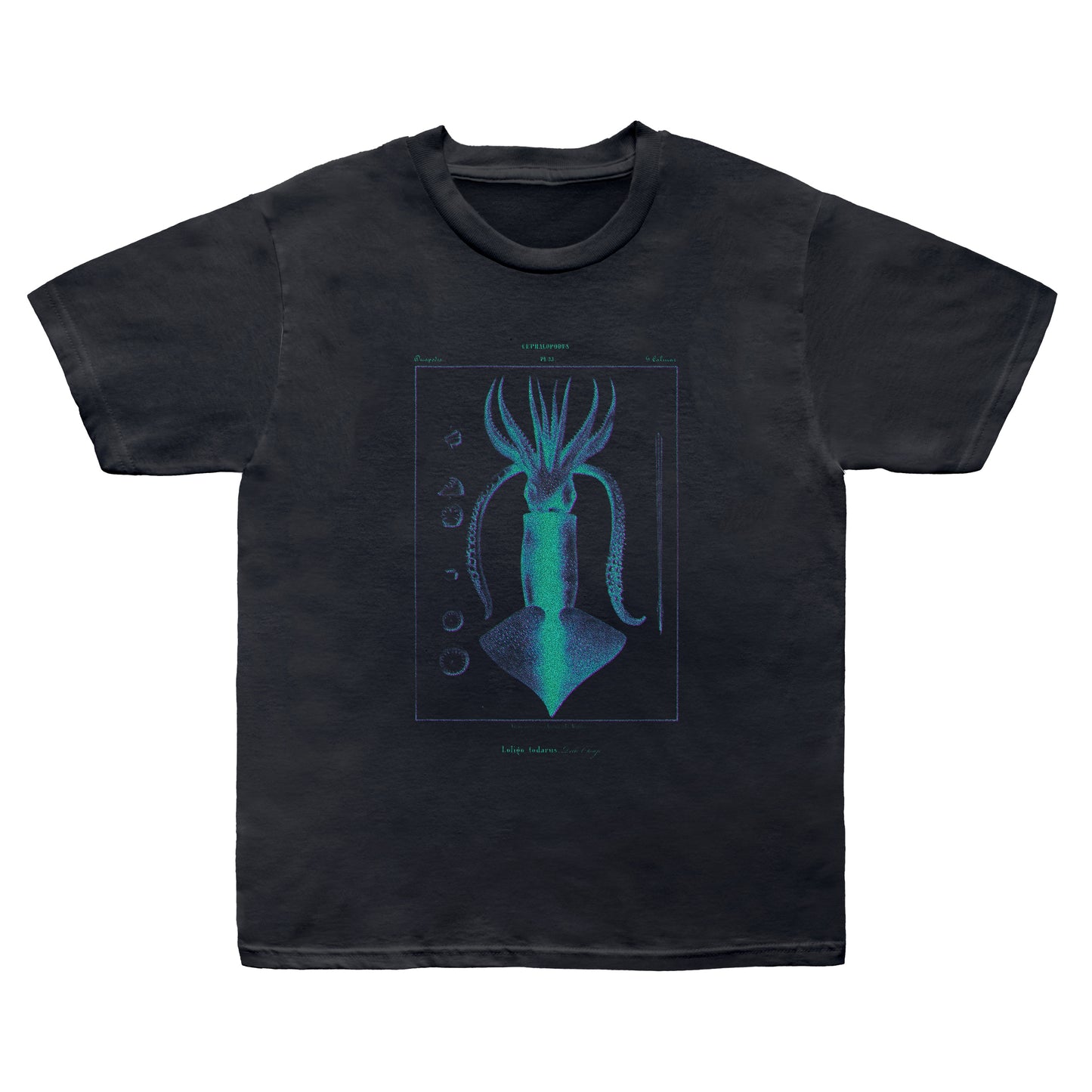 Squid Tee