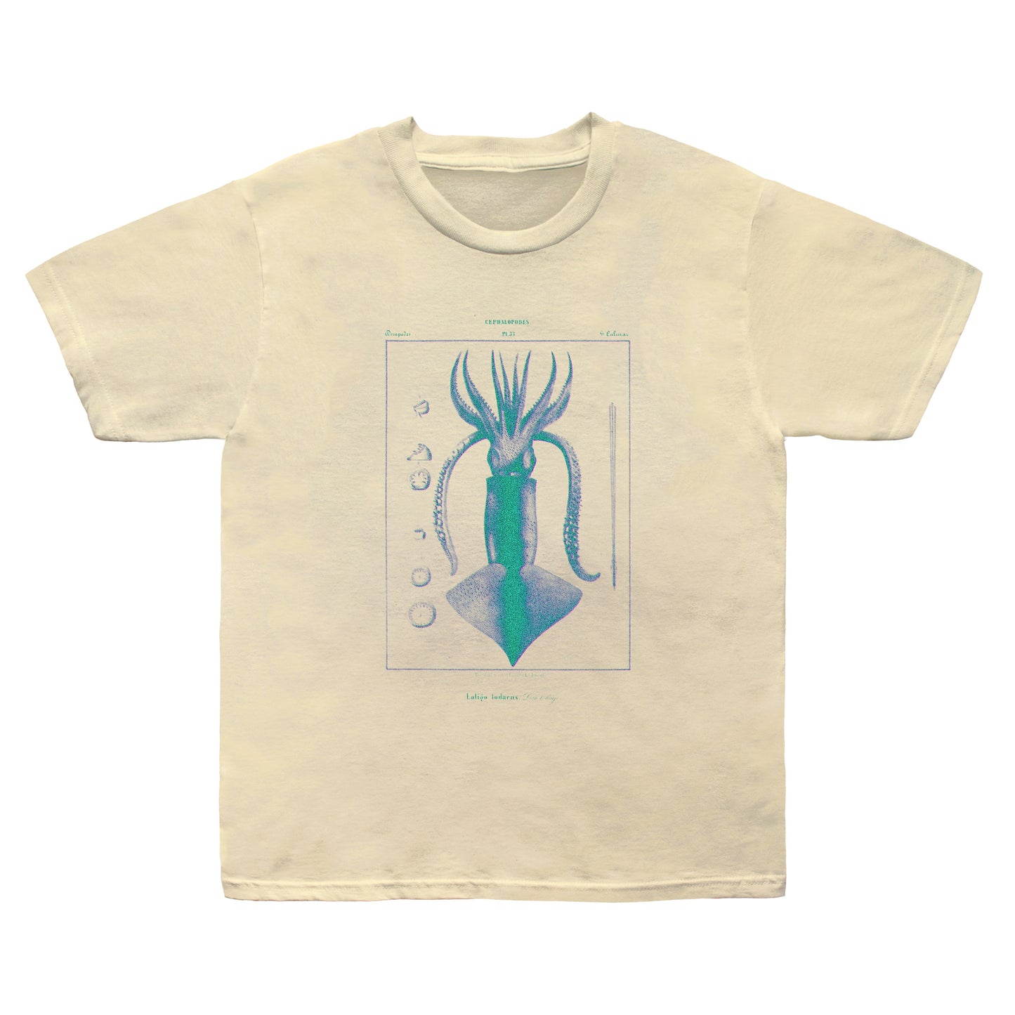Squid Tee