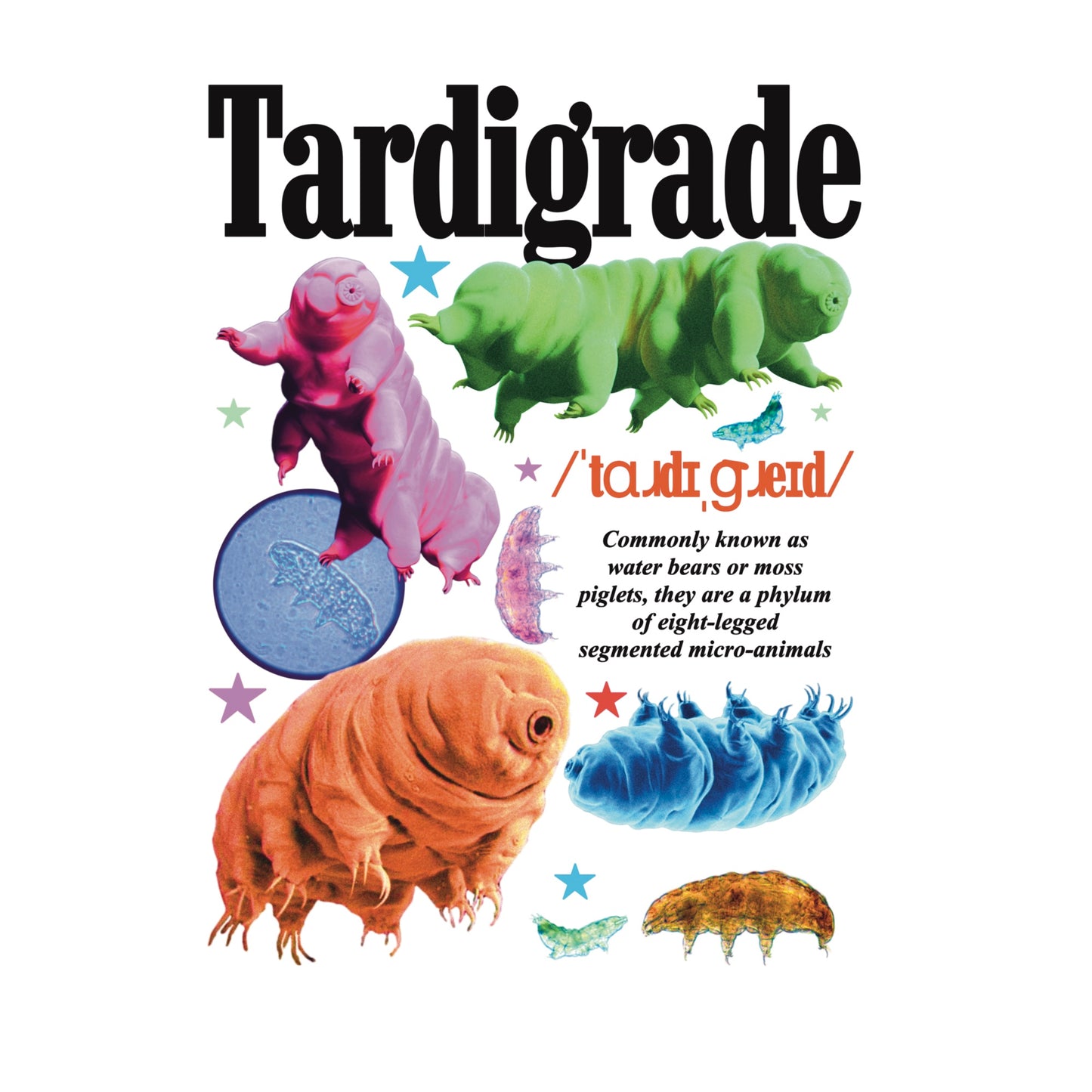 Tardigrade Tee