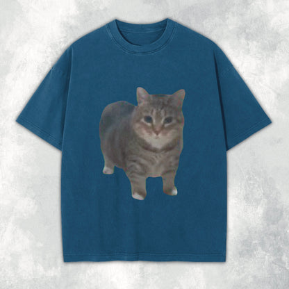 oo ee aa Cat Heavyweight Tee
