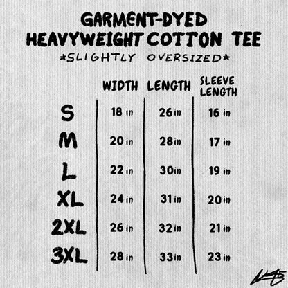 Benadryl 2.0 Heavyweight Cotton Tee