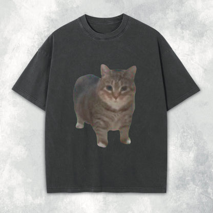 oo ee aa Cat Heavyweight Tee