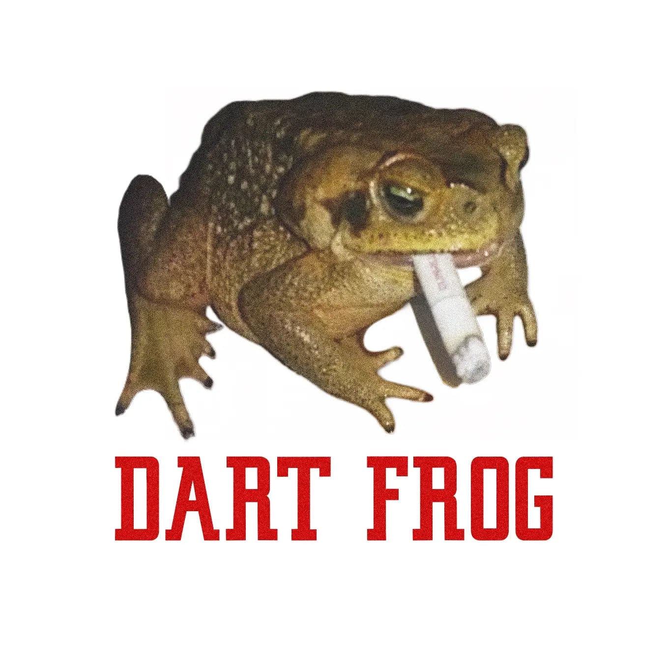 Dart Frog Tee